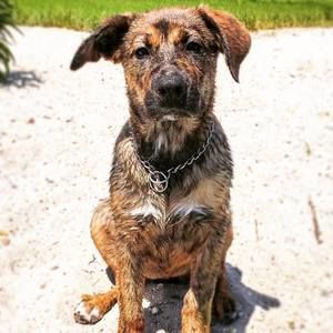 Meet your Posher, Mike